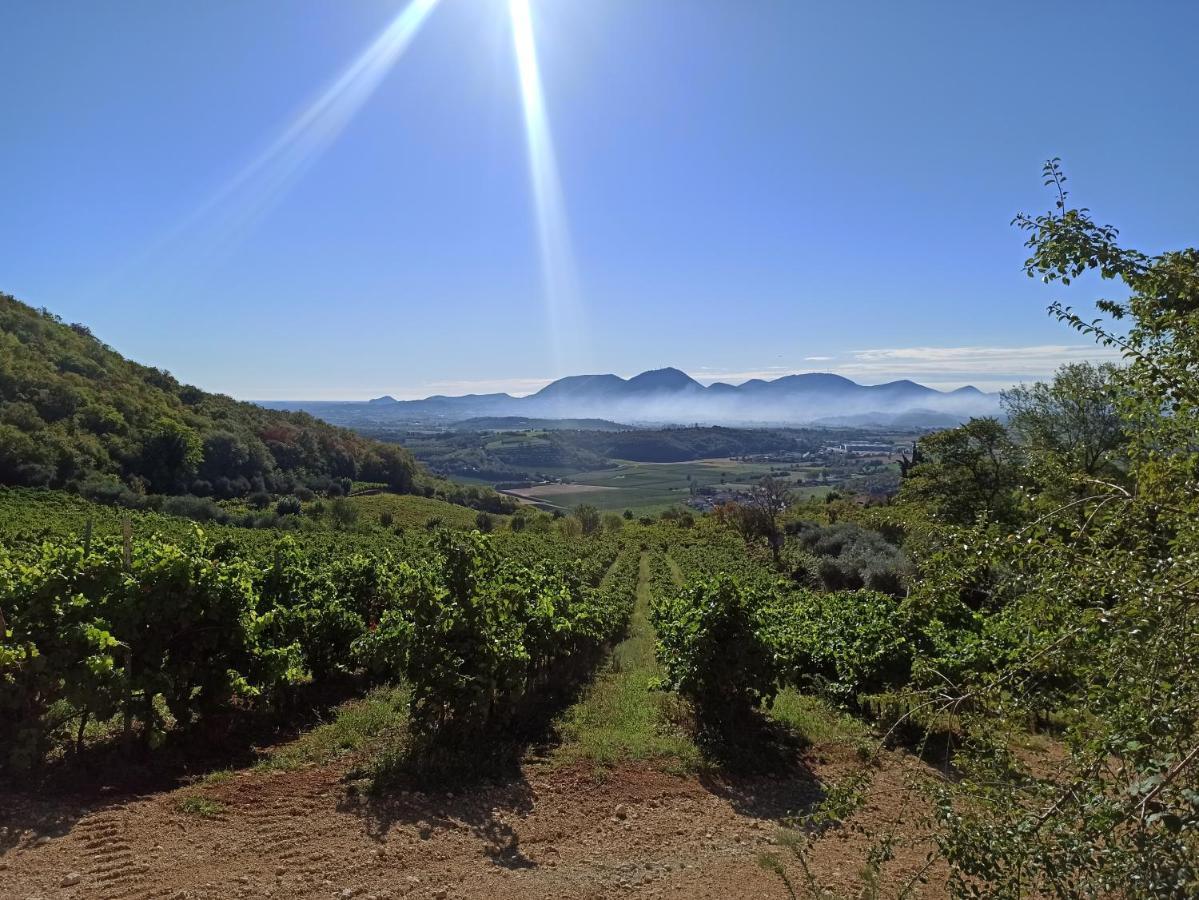 Alloggio La Perla, Quiete Ed Eleganza Con Vista Barbarano Vicentino Εξωτερικό φωτογραφία